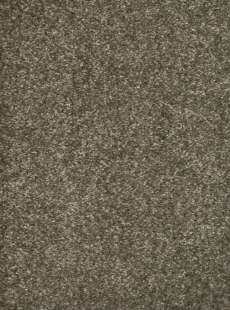 Palenza Teppichboden Farbe 91