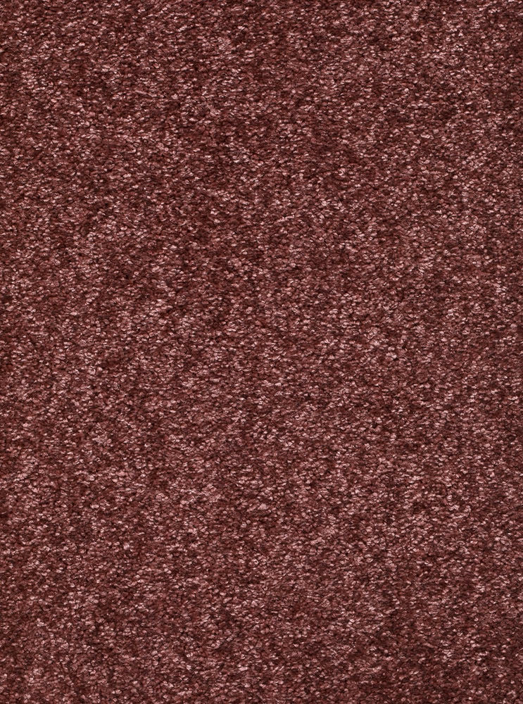Palenza Teppichboden Farbe 65