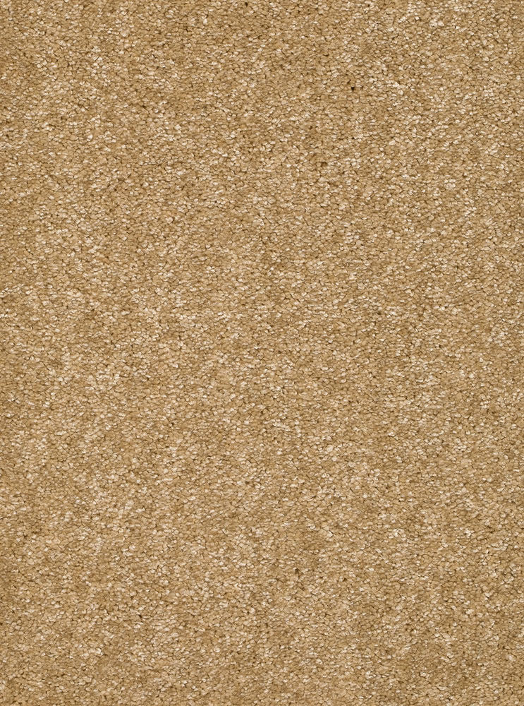 Palenza Teppichboden Farbe 51