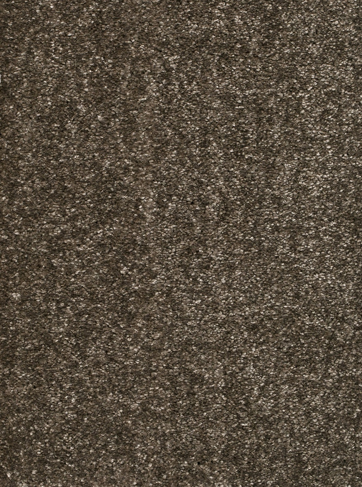 Palenza Teppichboden Farbe 46