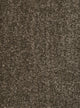 Taupe Tief