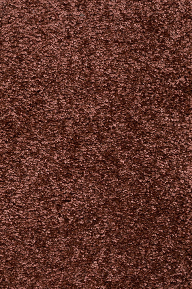 Piumera Farbe 81