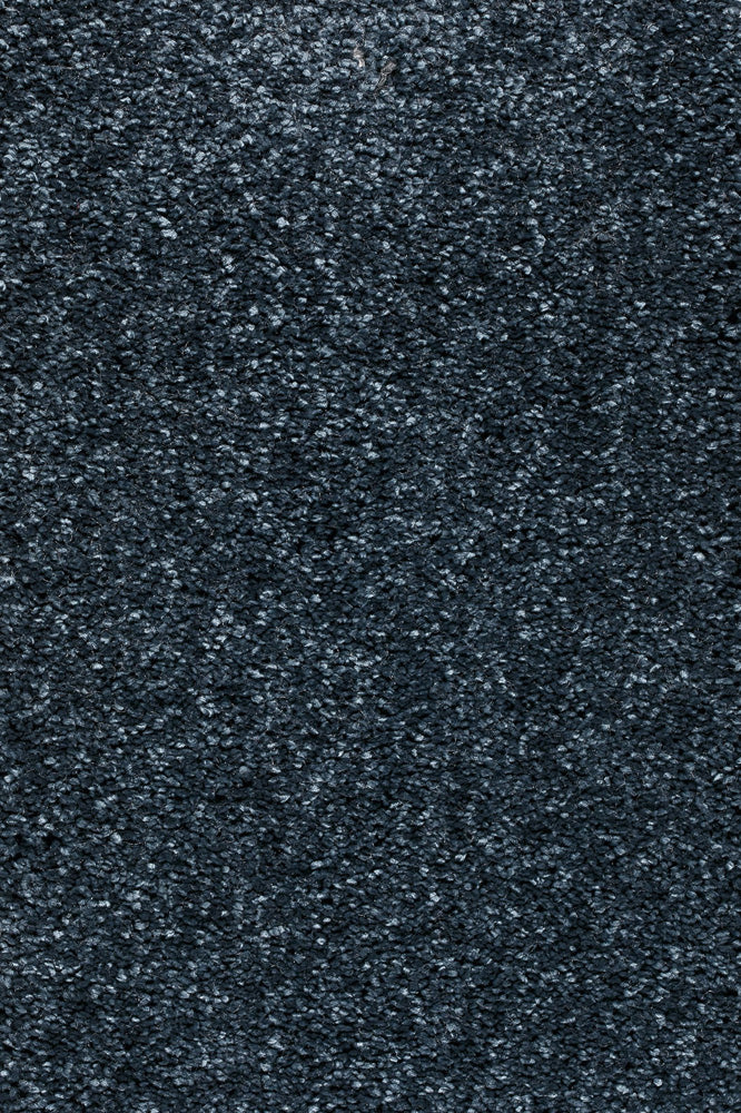 Piumera Farbe 77