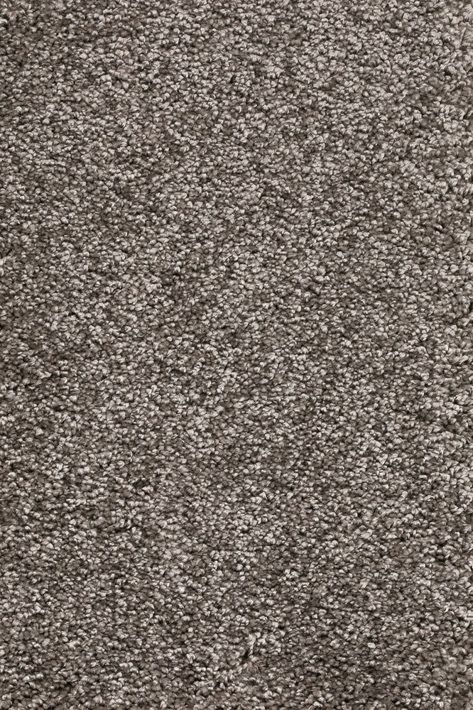 Piumera Farbe 49