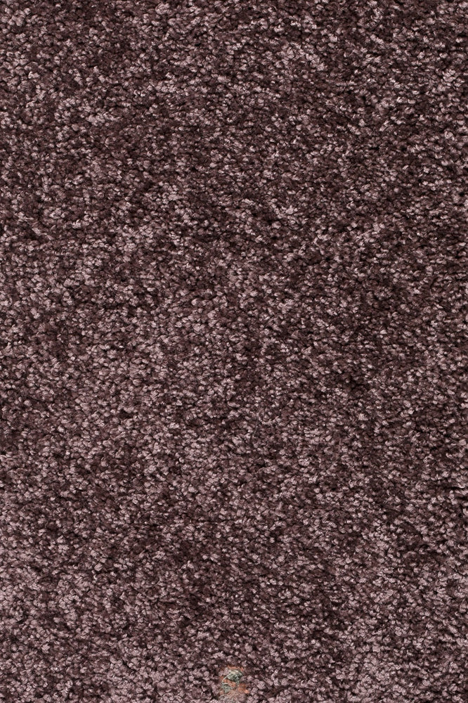 Piumera Farbe 41