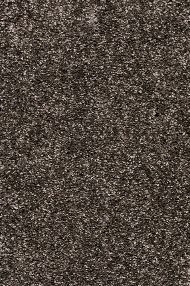 Piumera Farbe 40