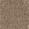 Taupe Dunkel