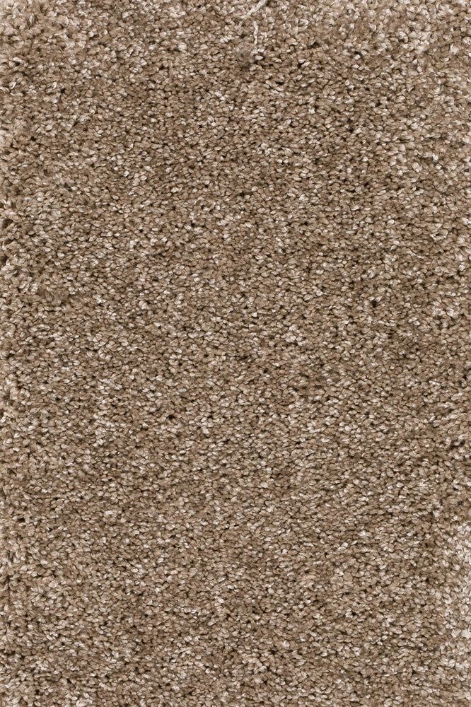 Piumera Farbe 35