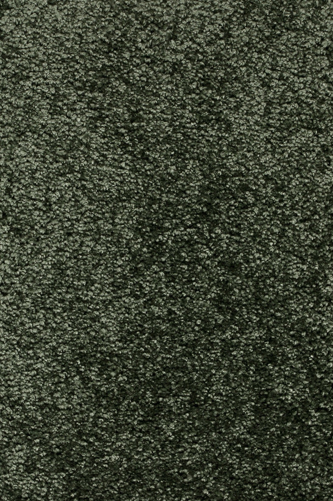 Piumera Farbe 27