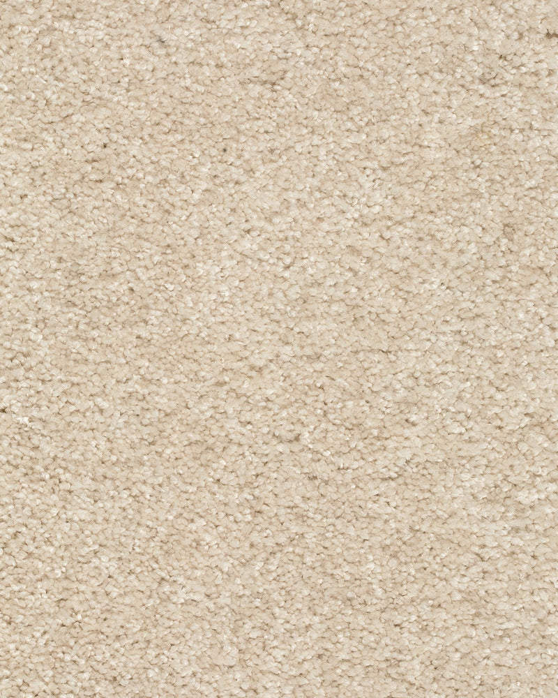 Piumera Teppichboden in Sand Hell (004)