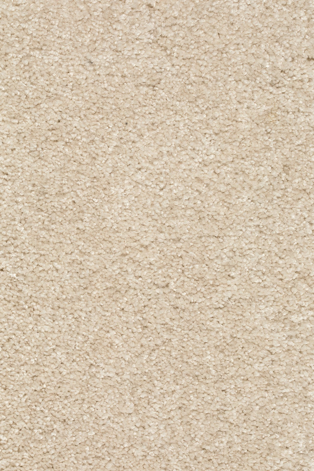 Piumera Teppichboden in Sand Hell (004)