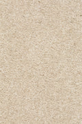 Piumera Farbe 04