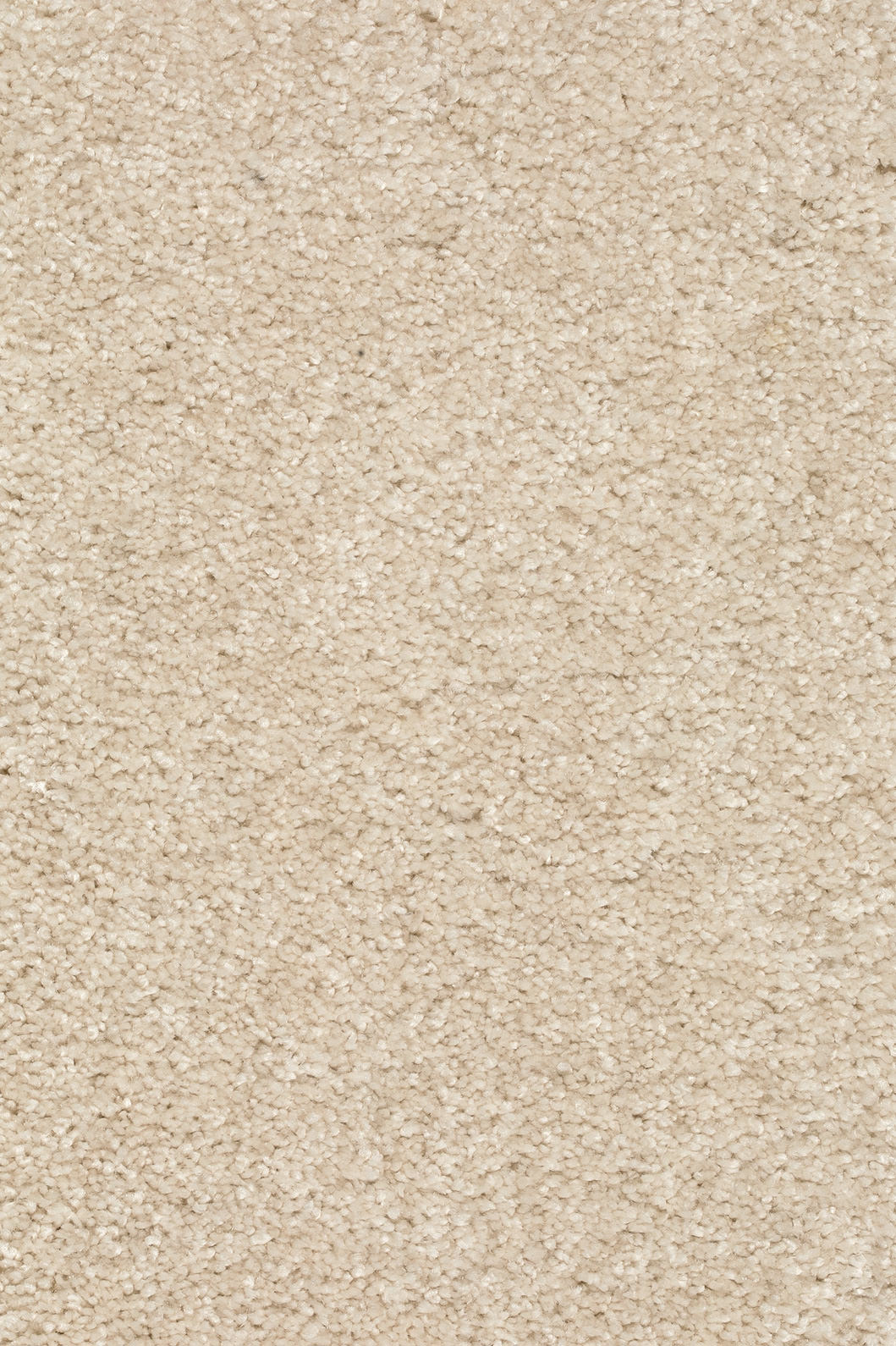 Piumera Farbe 04