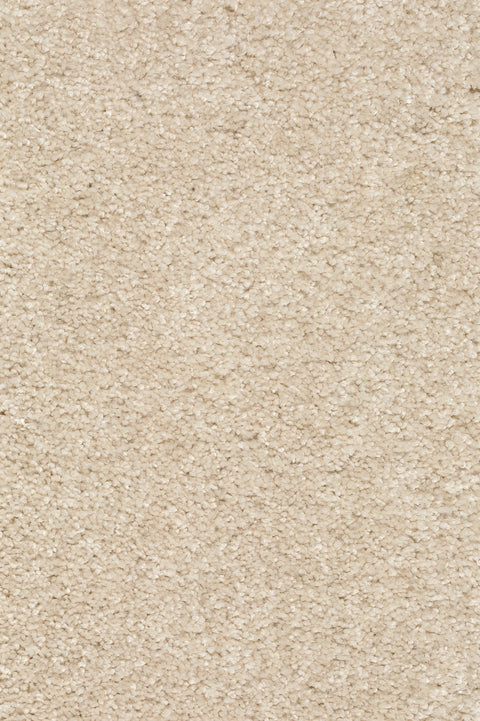 Piumera Farbe 04