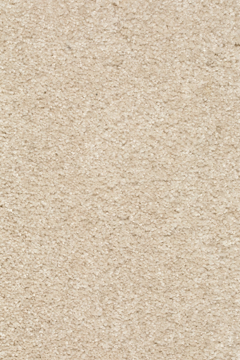 Piumera Farbe 04