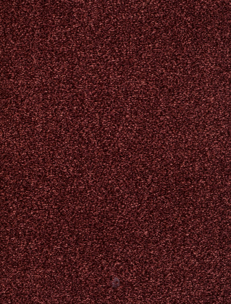 Torvana Teppichboden Farbe 66
