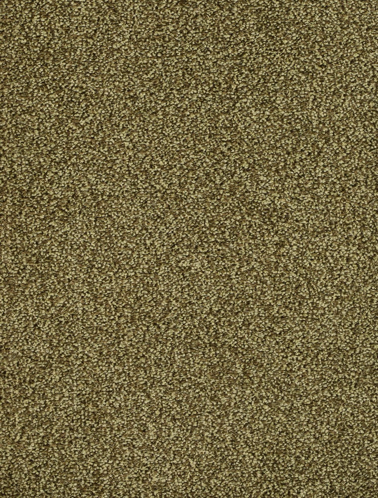 Torvana Teppichboden Farbe 24