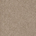 Beige Mittel Dunkler