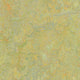 Gelb Grün