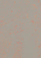 Beige Grau