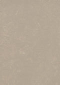 Beige Warm
