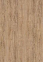 Solenta Kiefer Wild