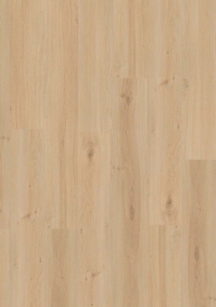 Solenta Eiche Mellow – Klebevinyl 2,0mm