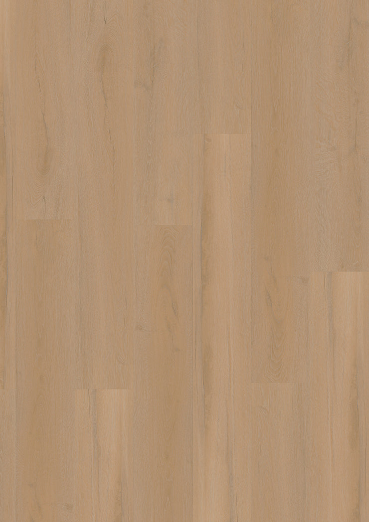 Solenta Eiche Nuanciert – Klebevinyl 2,0mm