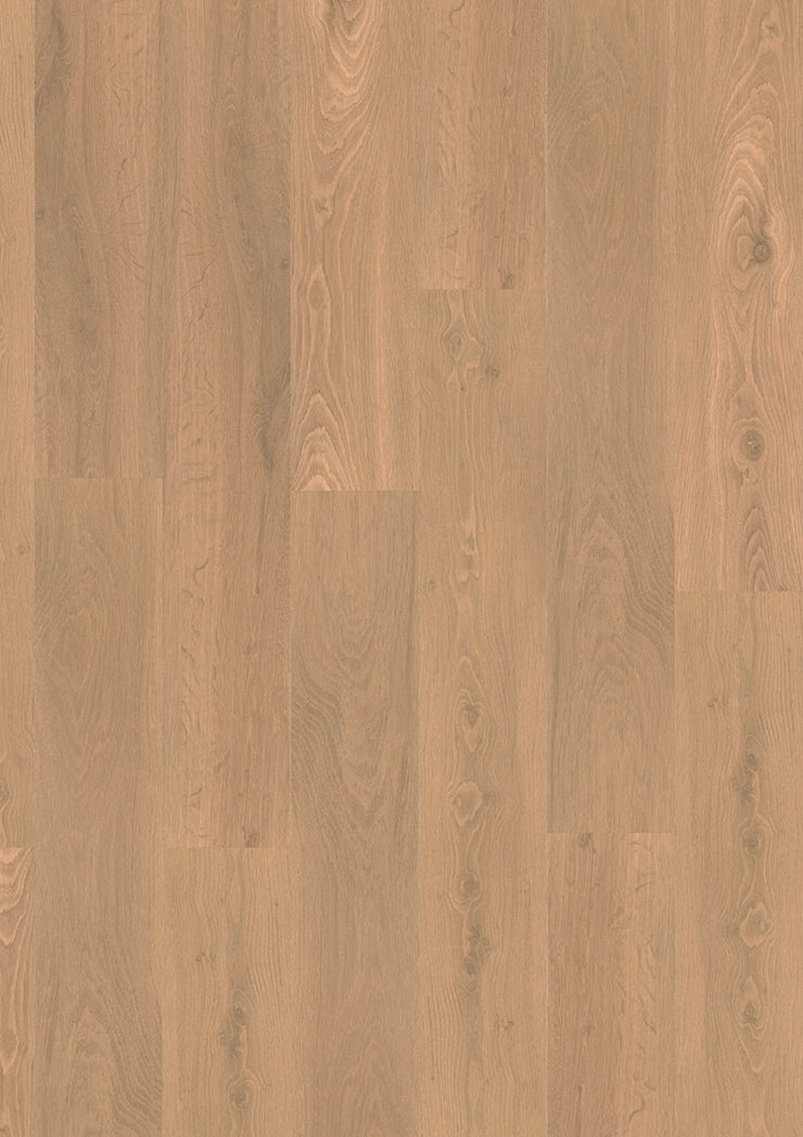 Solenta Eiche Loh – Klebevinyl 2,0mm