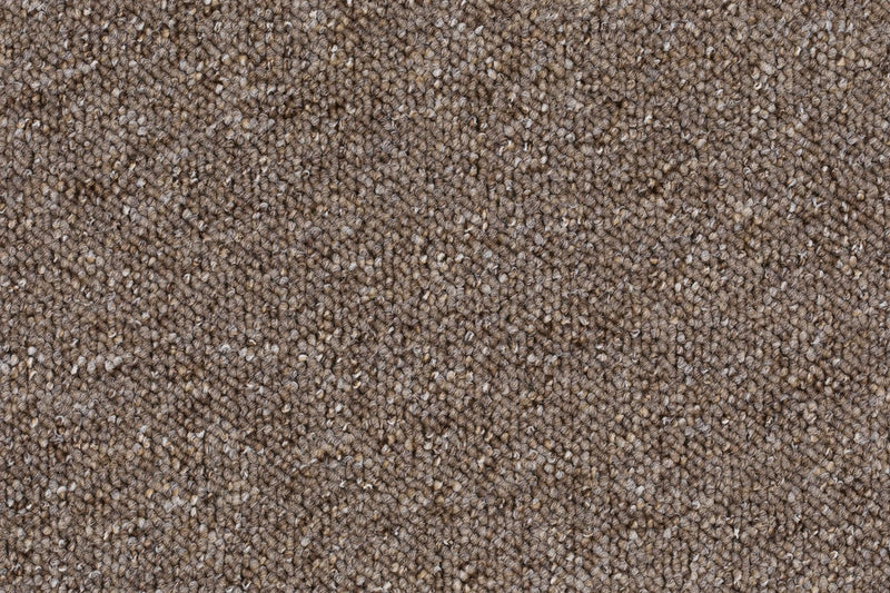 Solvana Teppichboden Farbe 08