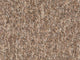 Taupe Dunkel