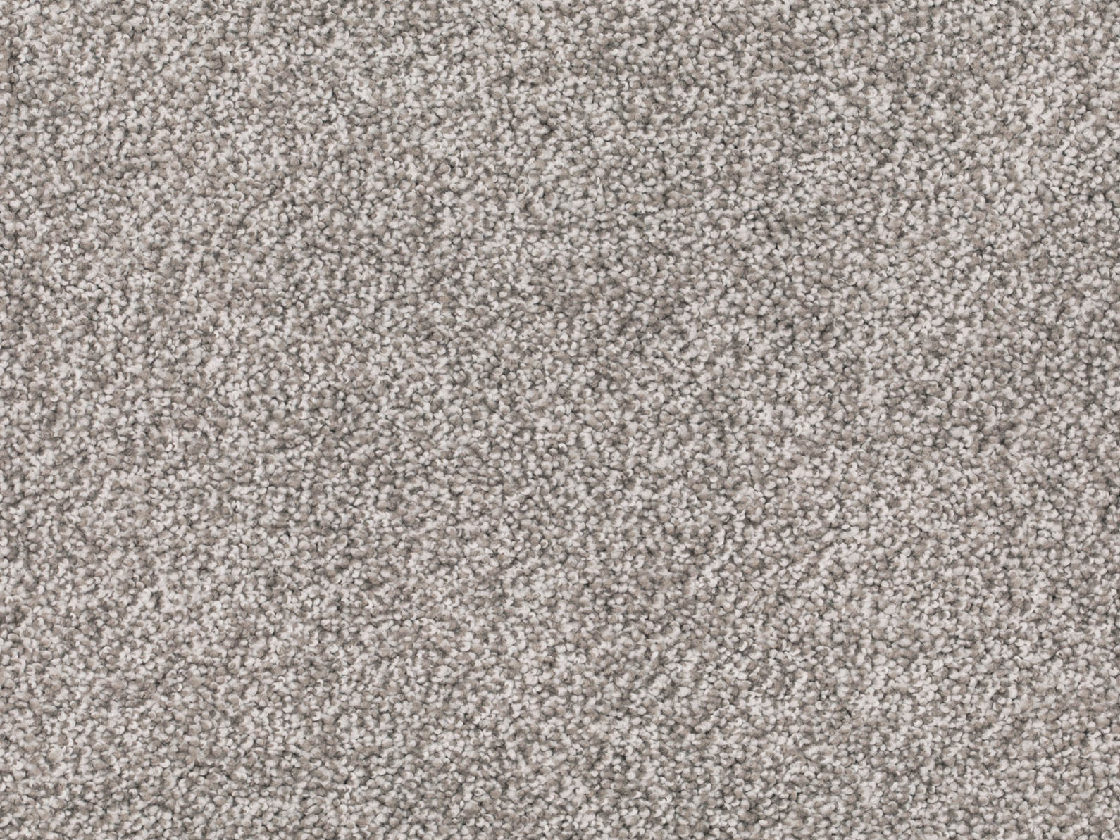 Tamira Teppichboden Farbe 840