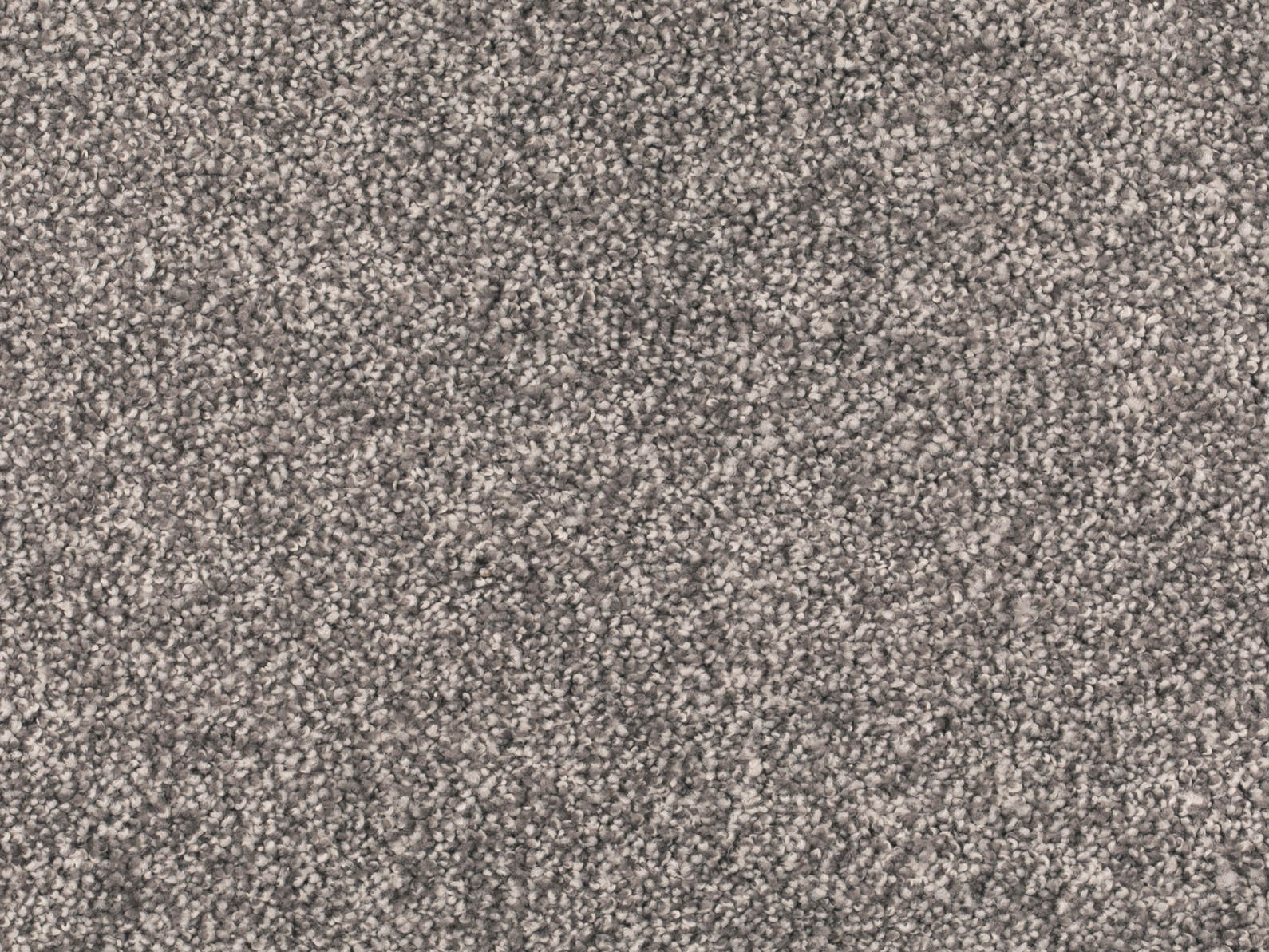 Tamira Teppichboden Farbe 830