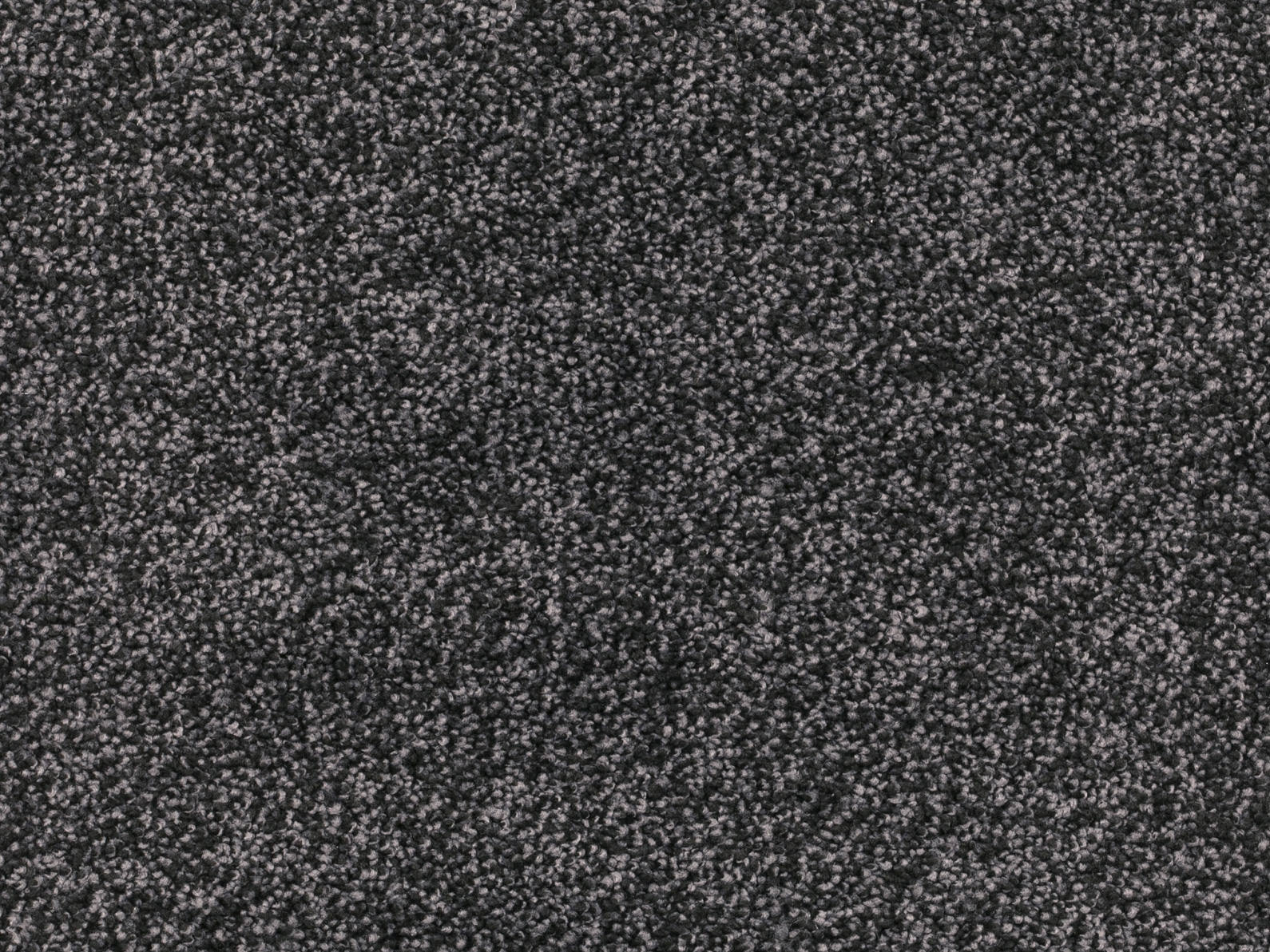 Tamira Teppichboden Farbe 800