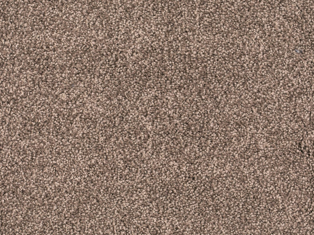 Tamira Teppichboden Taupe Dunkel (420)