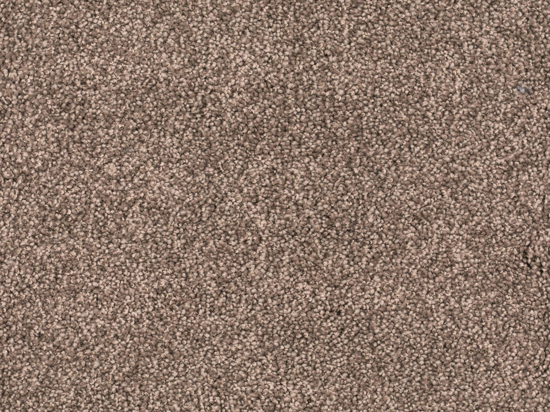 Tamira Teppichboden Farbe 420