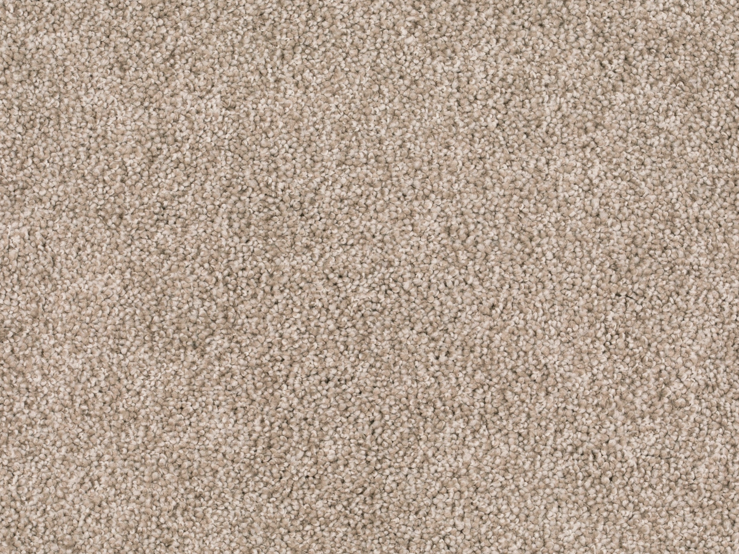 Tamira Teppichboden Farbe 260