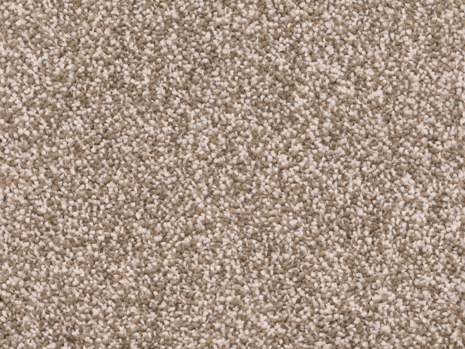 Savena Teppichboden Farbe 92