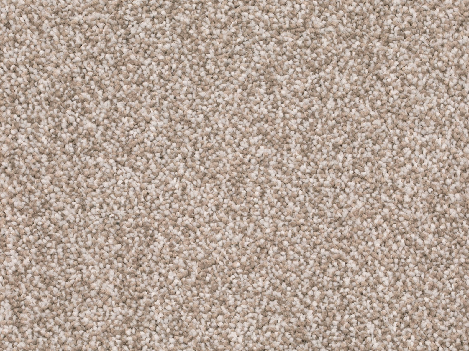 Savena Teppichboden Farbe 73