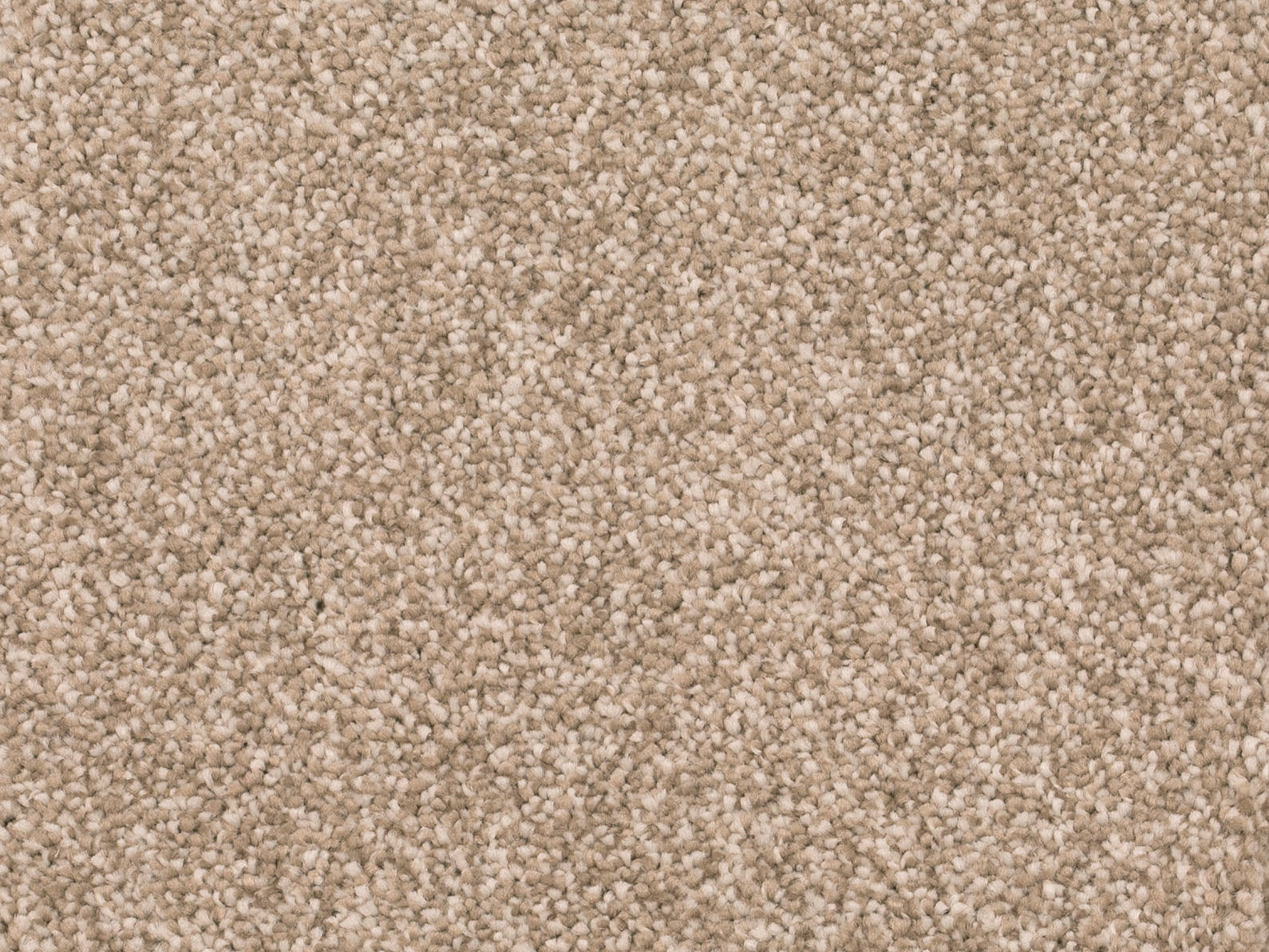 Savena Teppichboden Farbe 72