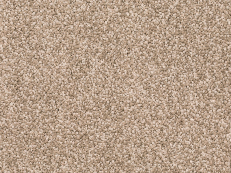 Savena Teppichboden Farbe 72