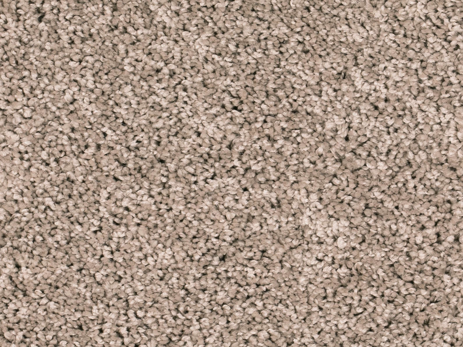 Vallora Teppichboden Farbe 173