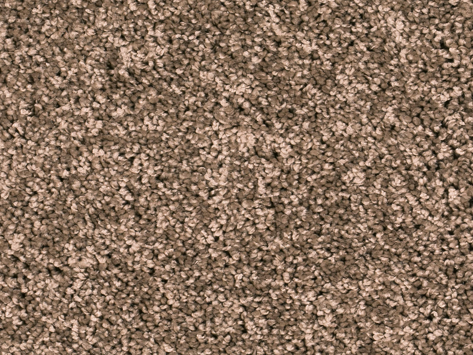 Vallora Teppichboden Farbe 91