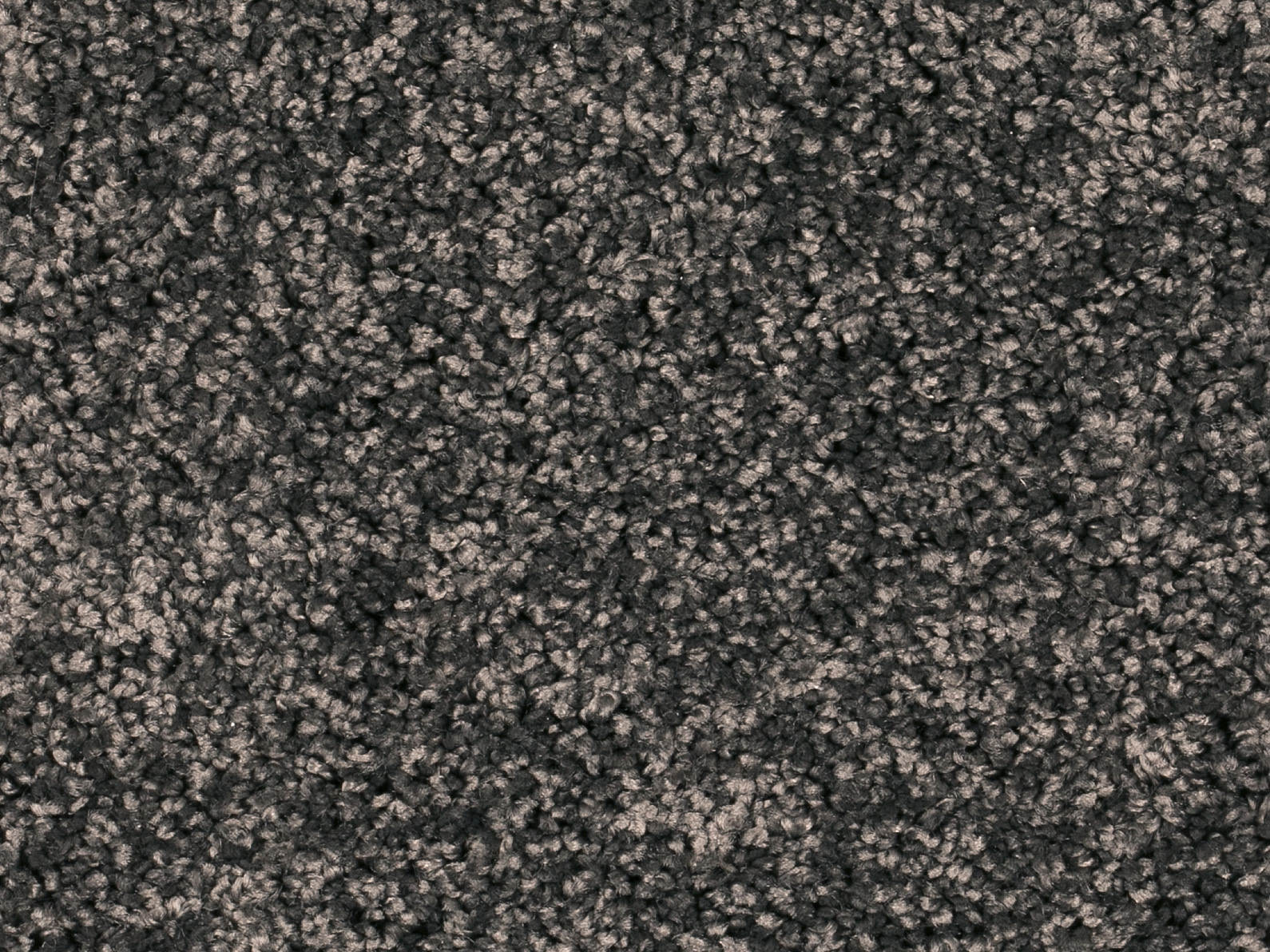 Vallora Teppichboden Farbe 77