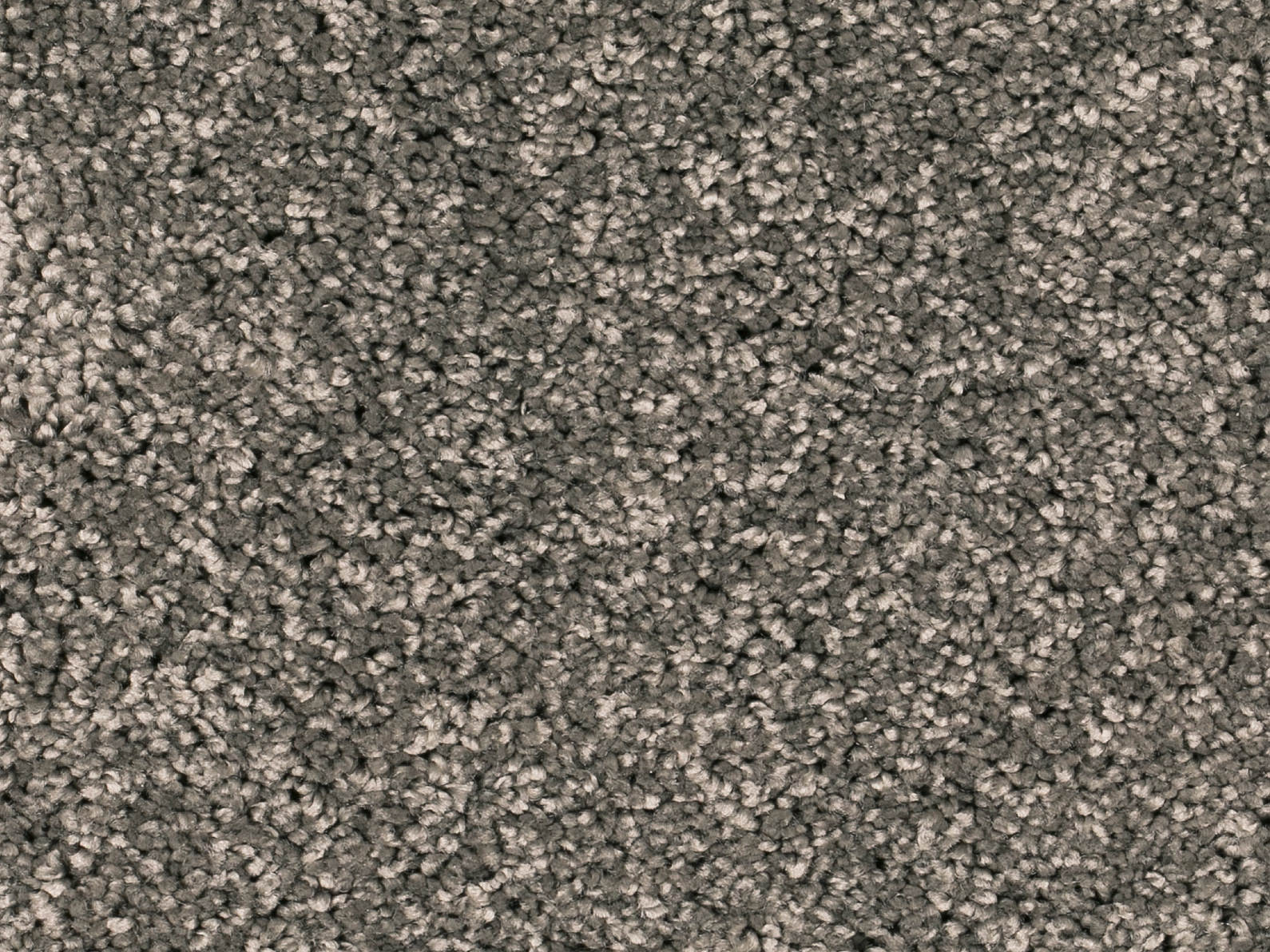 Vallora Teppichboden Farbe 75