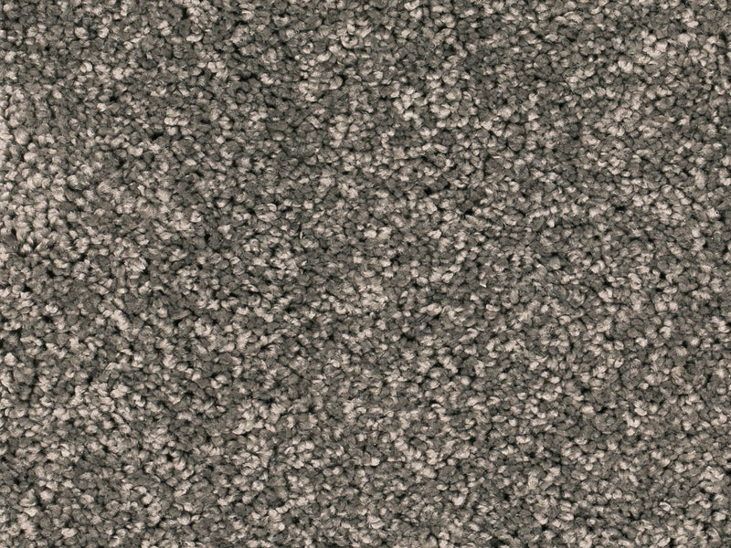 Vallora Teppichboden Farbe 75