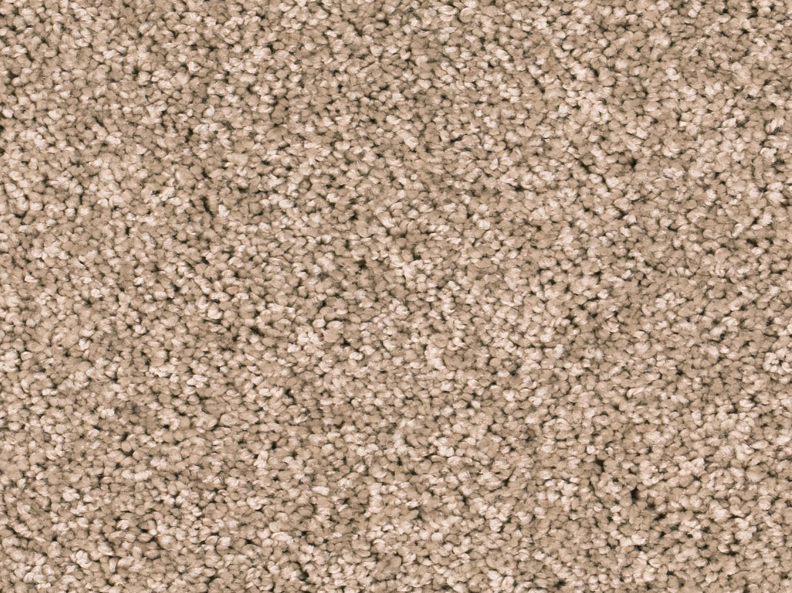 Vallora Teppichboden Farbe 72