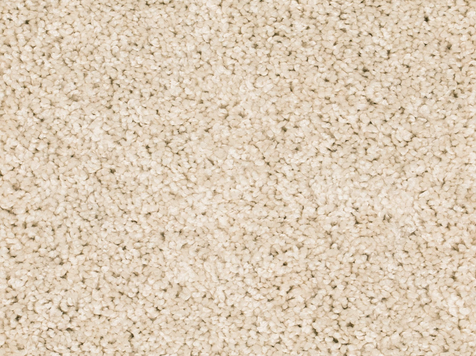 Vallora Teppichboden Farbe 70