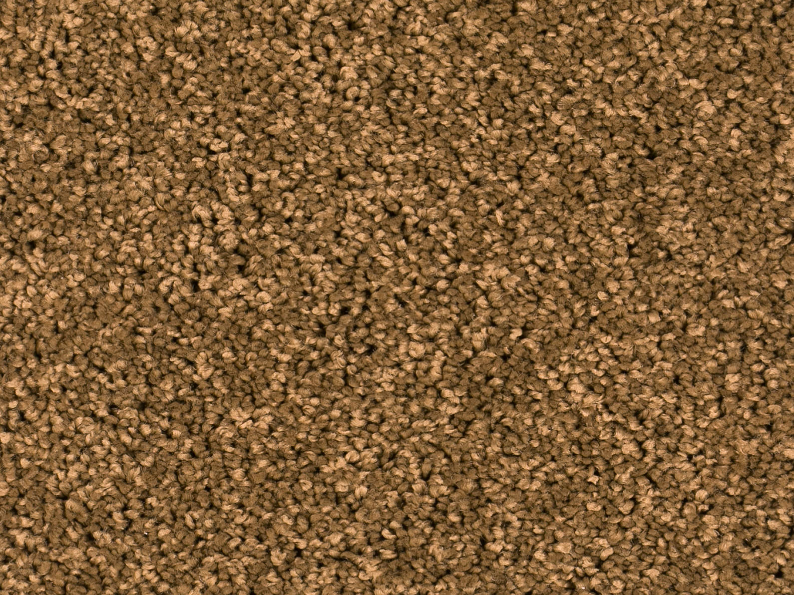 Vallora Teppichboden Farbe 55