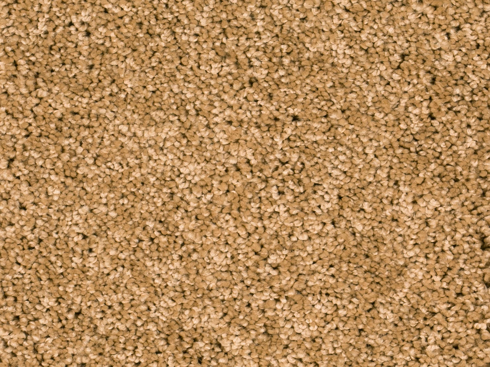 Vallora Teppichboden Farbe 50